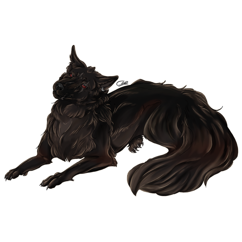 fullbody of a wolf lying down