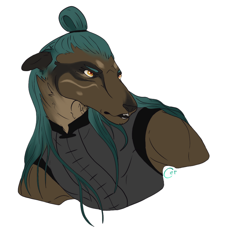 bust of a male anthro character with long hair