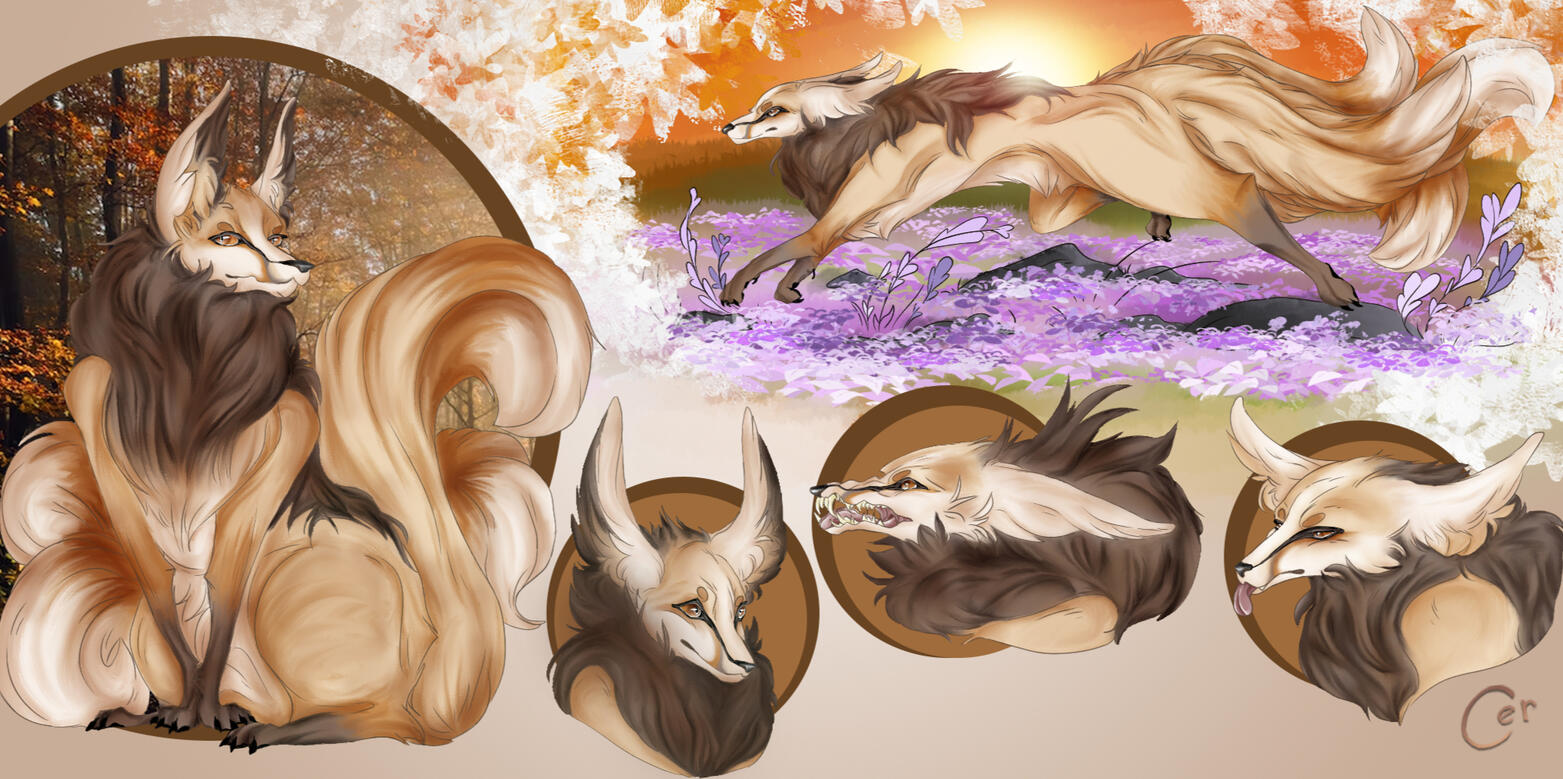 concept sheet of a fox character