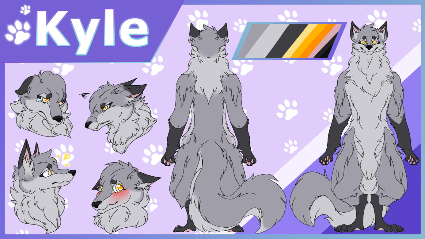 reference sheet of an anthro wolf character