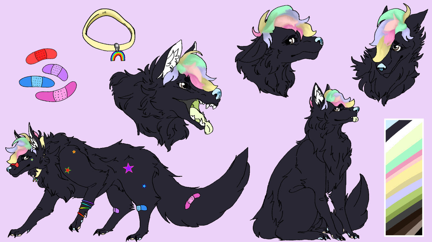 reference sheet of a black dog character w/ multicolored bangs